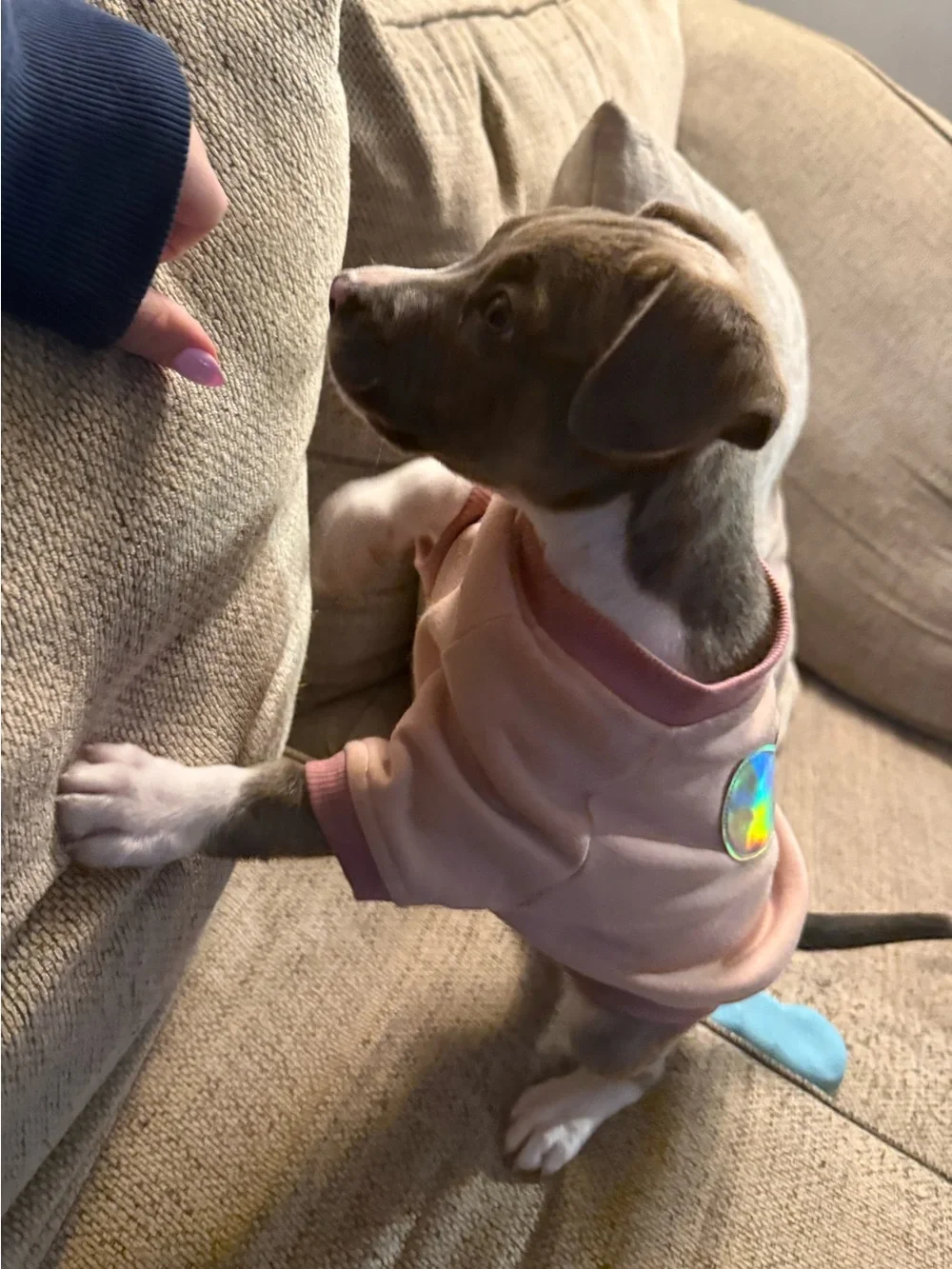 Pink Dog Sweater with Chrome Heart Patch size Small
